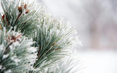 Arbetsmiljörisker i fokus – Vibrationer och handintensiva arbetsuppgifter